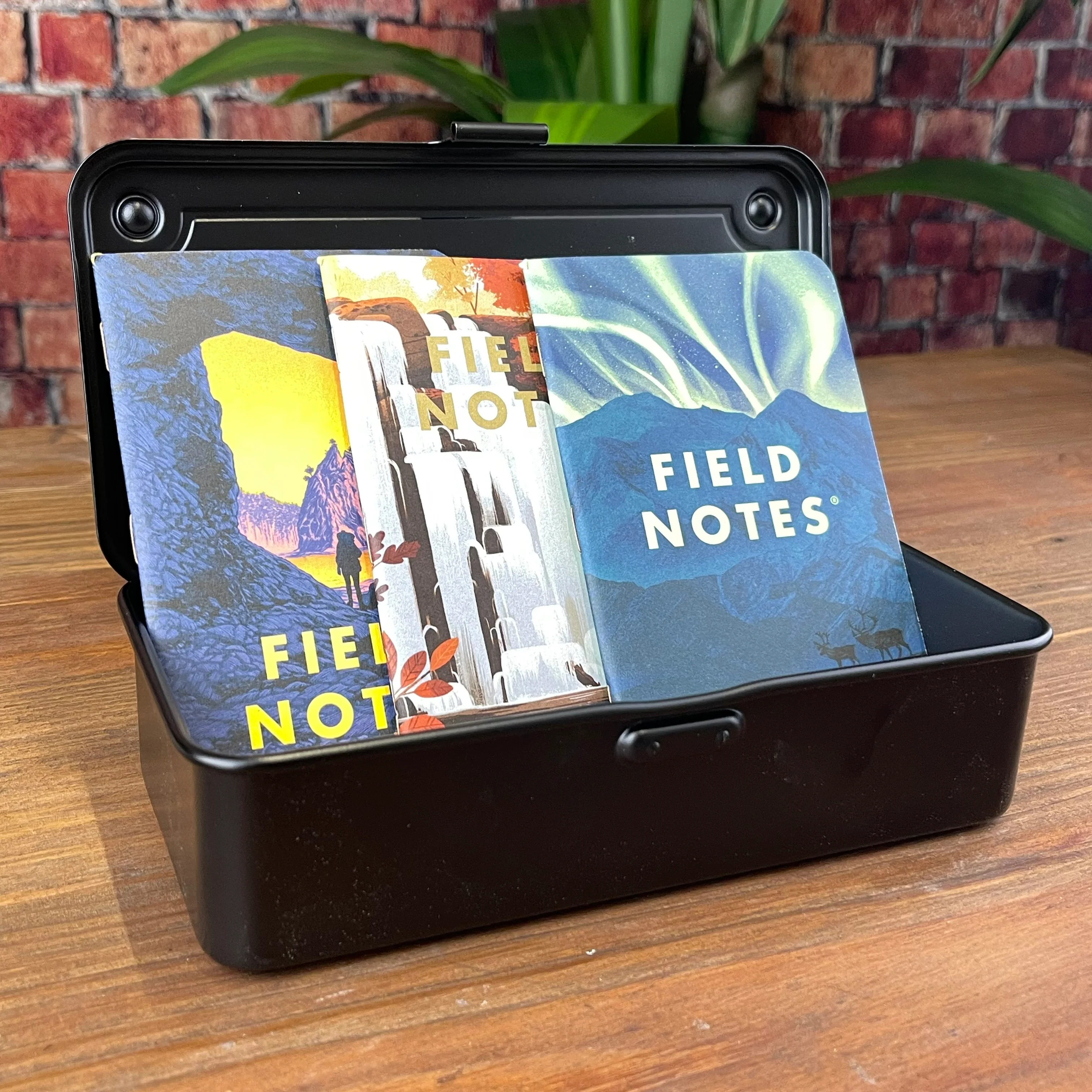 Field Notes National Parks Series E - Image 2