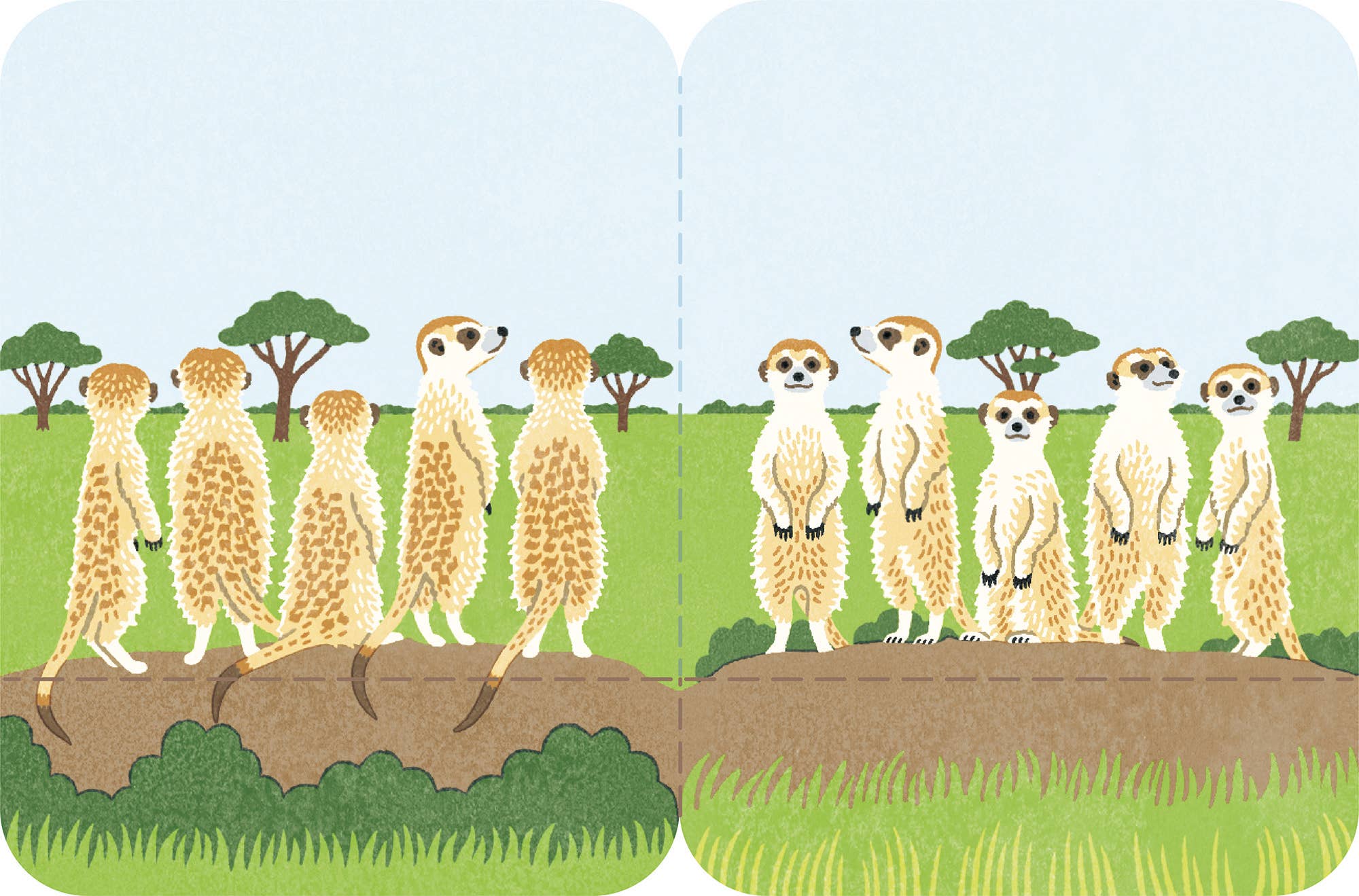 FUTAMATA-FUSEN Decoration Paper Tape Size L - Meerkat