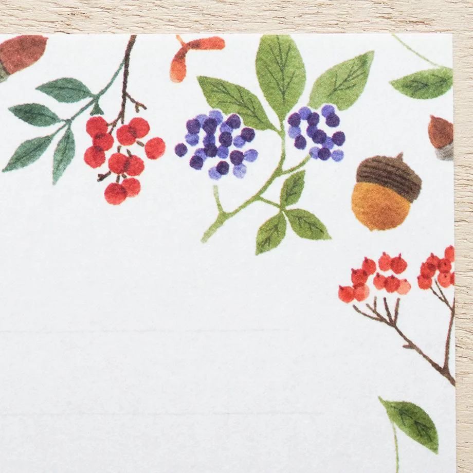 Hyogensha Cozyca Seasonal News Letter Set - Nuts - Image 4
