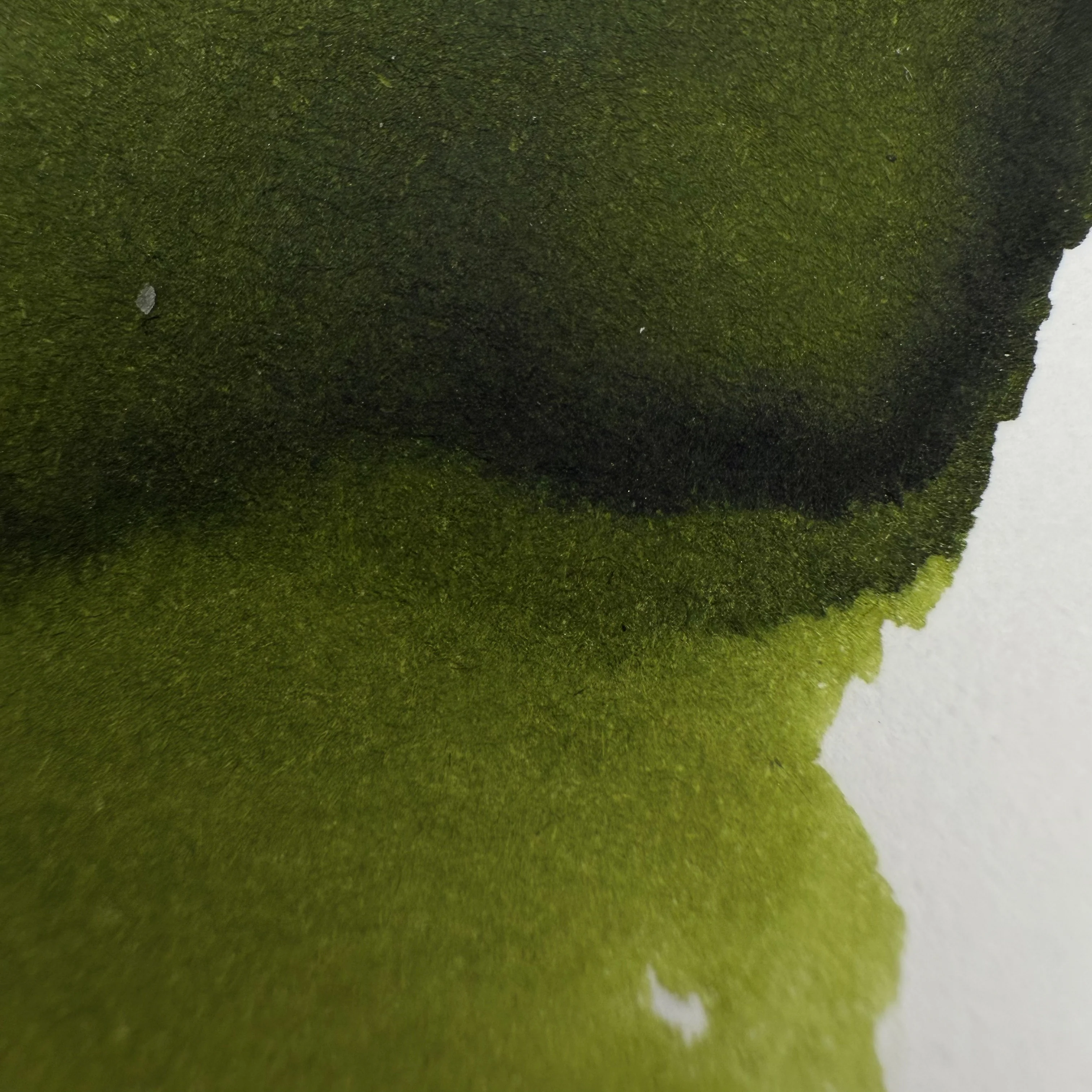 KWZ Green Gold #2 - 60ml Bottled Inks - Image 2