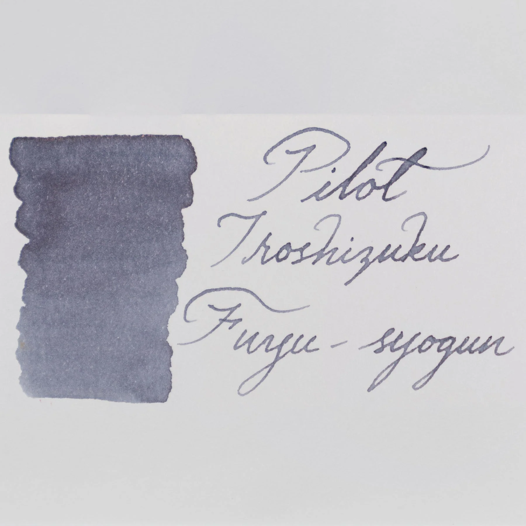 Pilot Iroshizuku Ink Cartridges - fuyu-syogun - Image 2