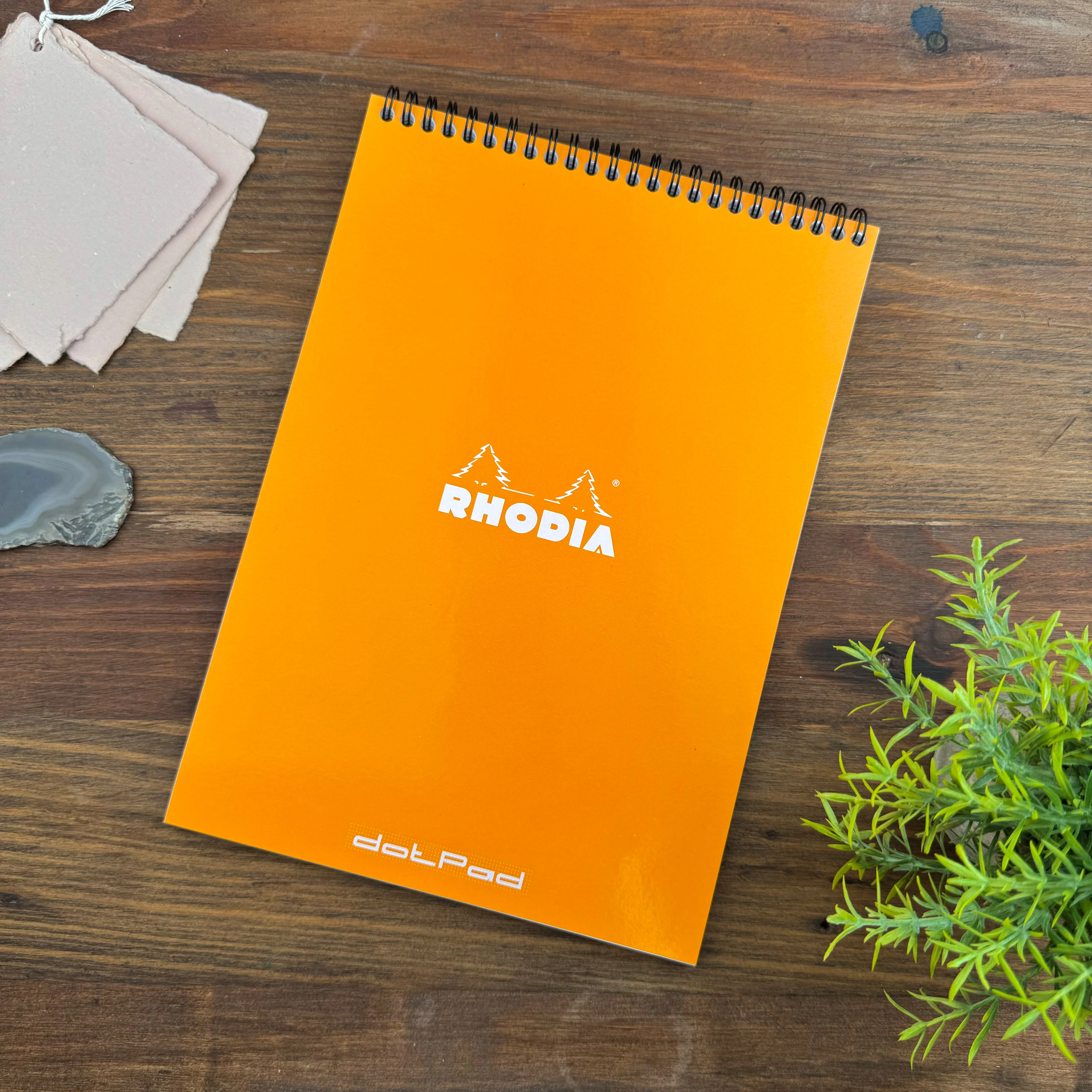 Rhodia Wirebound Notepad - Dot 80 sheets - 8 ¼ x 11 ¾ - Image 4