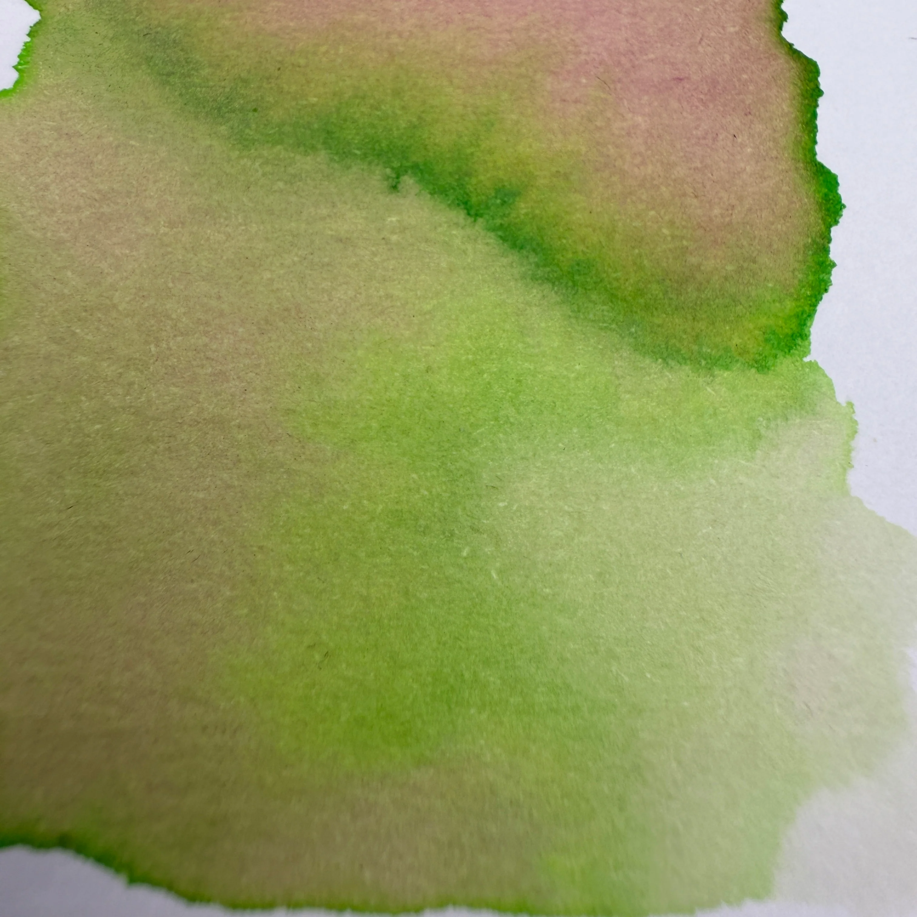 Van Dieman's Professional - Natura Dualis - Harvest Tide - 40ml Bottled Ink - Image 2