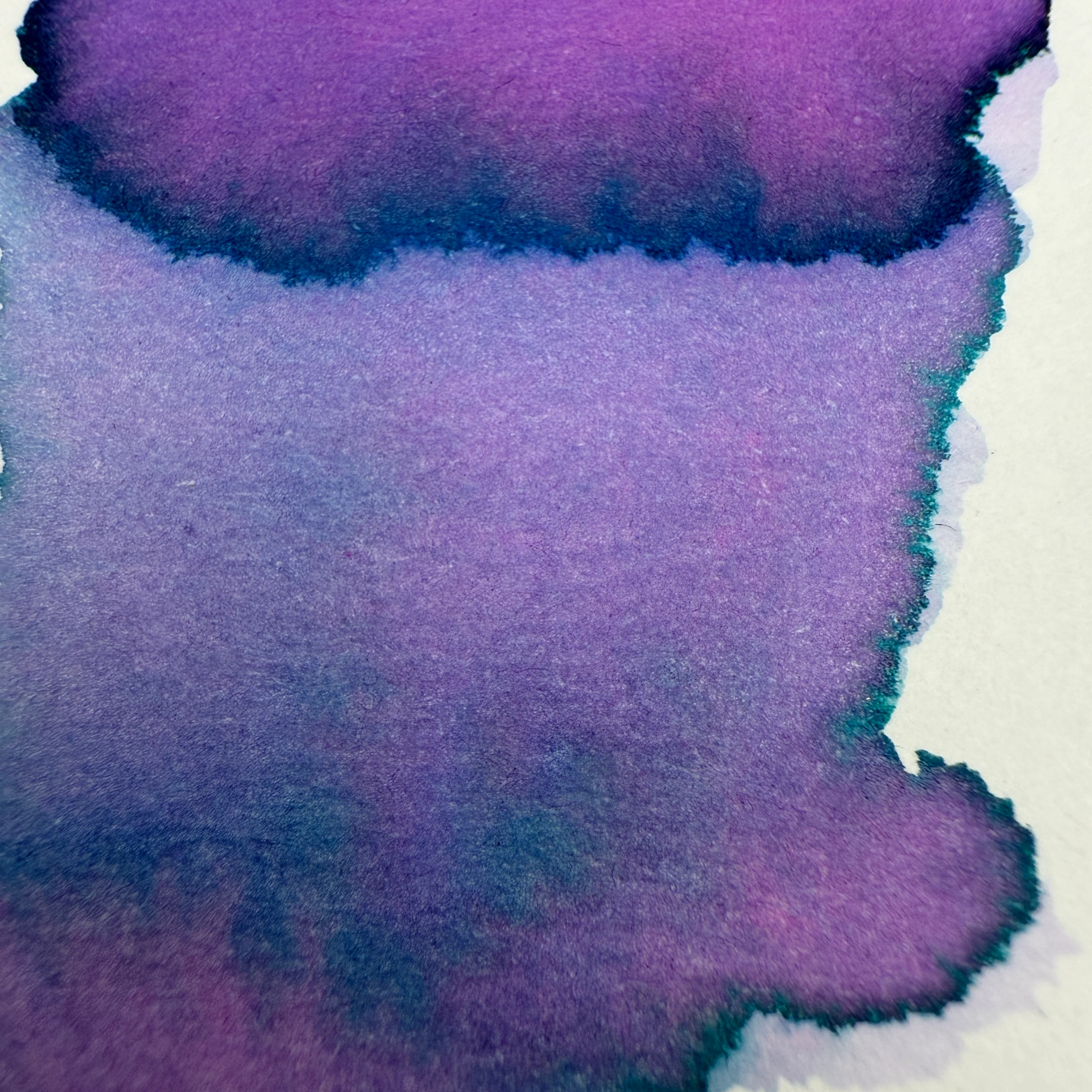Van Dieman's Professional - Natura Dualis - Last Light - 40ml Bottled Ink - Image 2