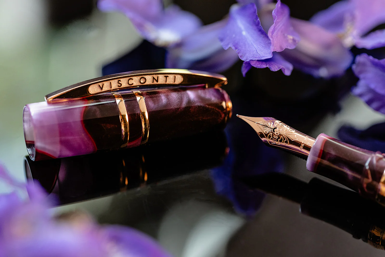 Visconti Homo Sapiens Fountain Pen - Iris Garden (Limited Edition) - Image 5
