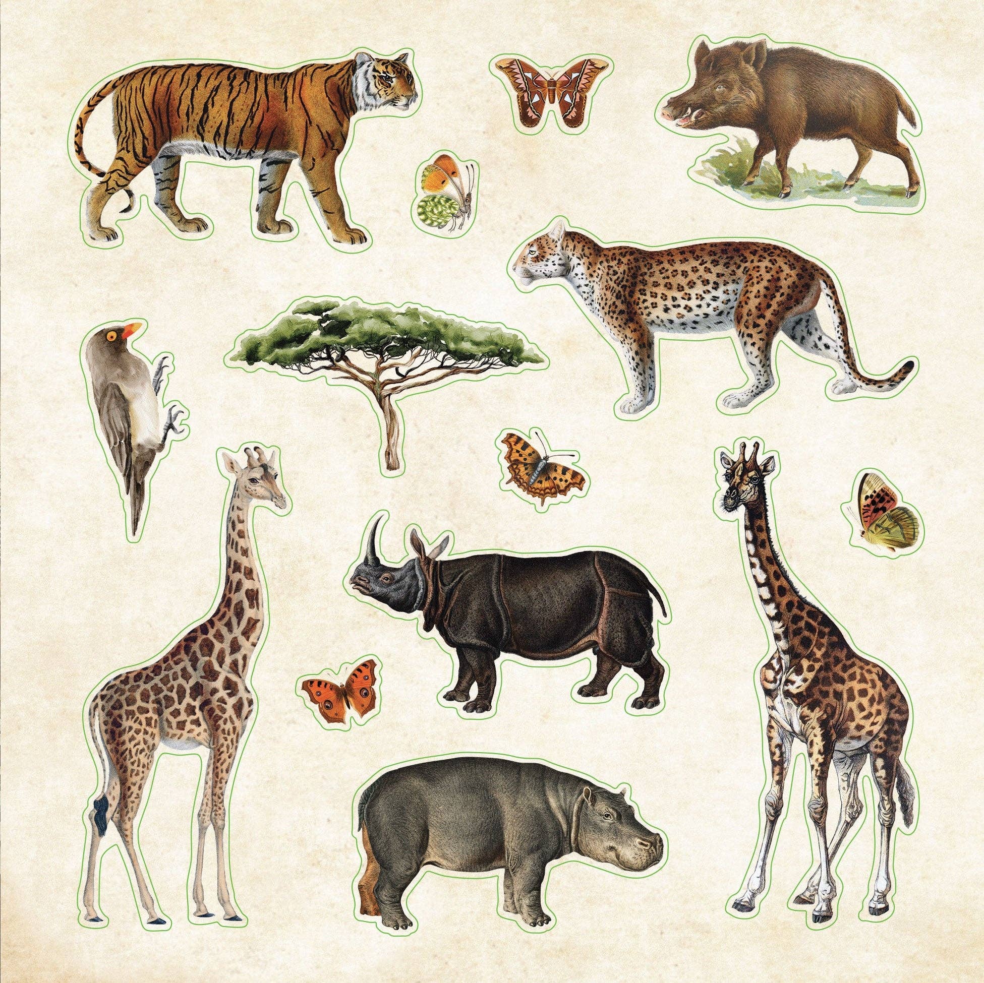 Zoological Ephemera Sticker Books - Image 3
