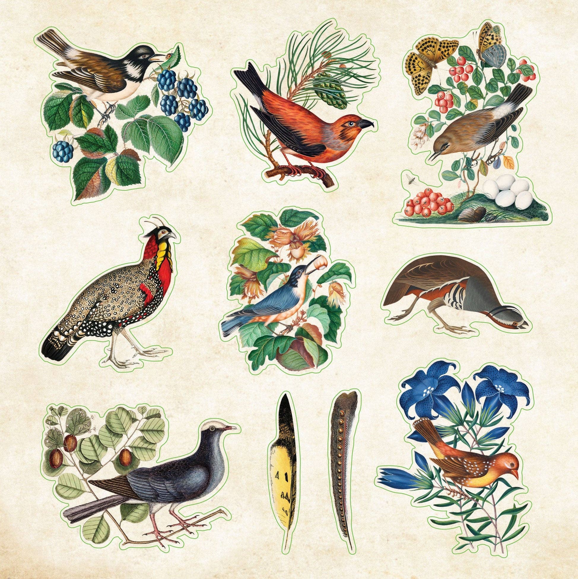 Zoological Ephemera Sticker Books - Image 6